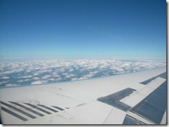 DSCN8323