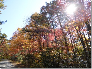 DSCN2252