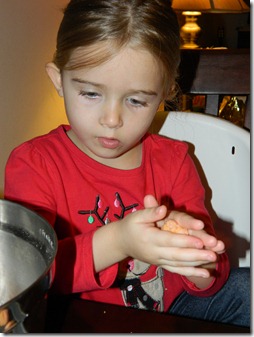 DSCN8372
