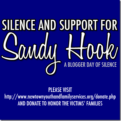 sandyhooksupport