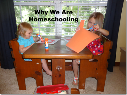 whywearehomeschooling