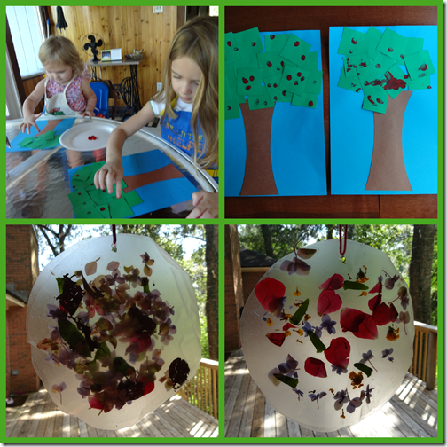 fallcrafts
