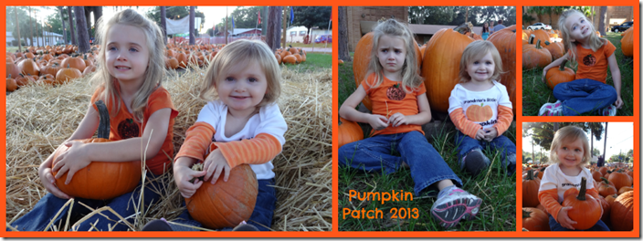 pumpkinpatch1