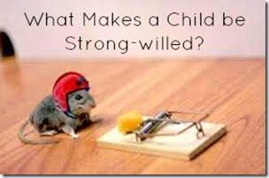 strongwilled1