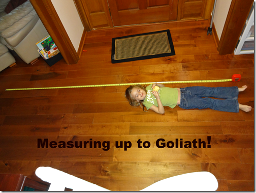 measurement
