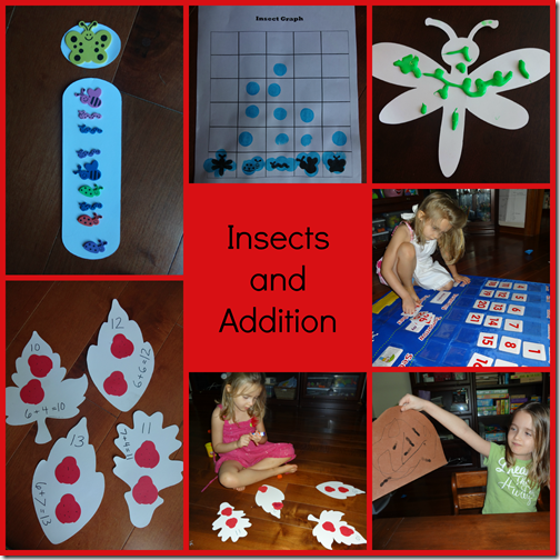 insects