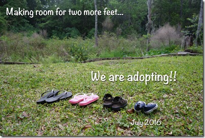 Adopting2